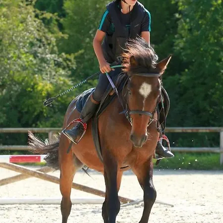 De La Ferme Cour Lecoq