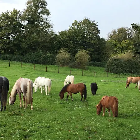 De La Ferme Cour Lecoq 度假居