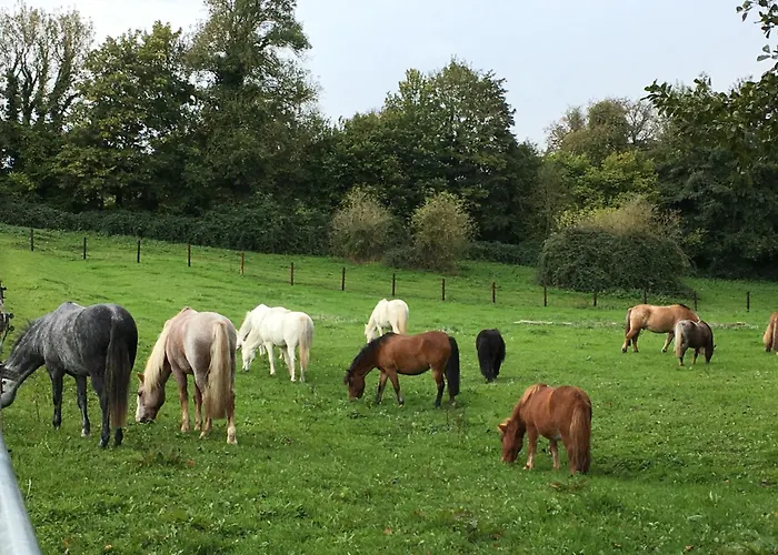 De La Ferme Cour Lecoq 度假居